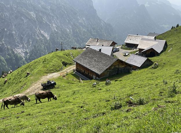 Ein ganzer Tag auf der Alpe: Alpexkursion Ischkarnei