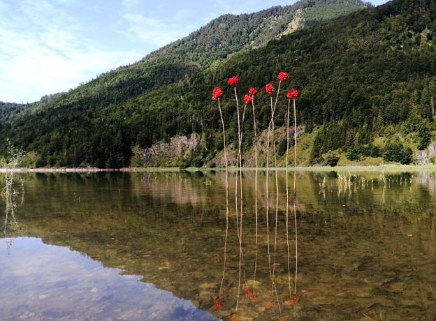 Wasser – „Wir sind Wasser“