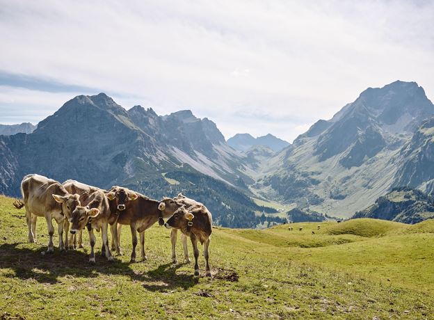 BERGaktiv Wanderung Alpe Klesenza und Alpe Laguz