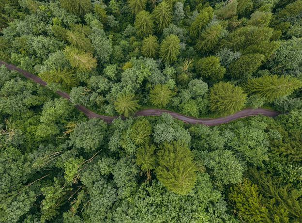 BERGaktiv Wanderung Sägeweg