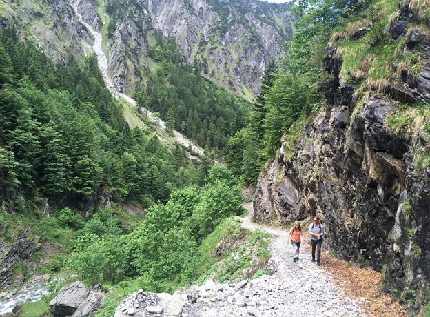 BERGaktiv Wanderung zur Frauenschuhblüte