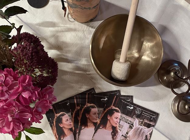 Abendliche Entspannungseinheit mit Pferden