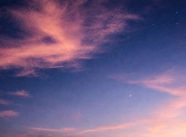 Picknick mit Pferden - offene Gesprächsrunde zum Thema unerfüllter Kinderwunsch