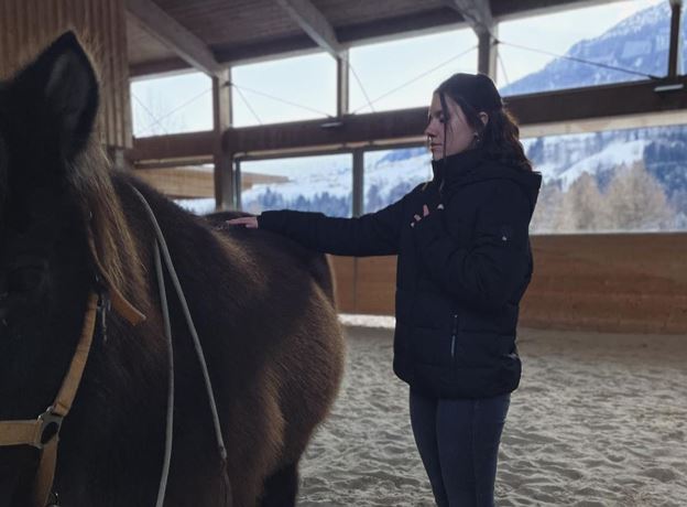 Workshop - Im Gespräch mit Pferden